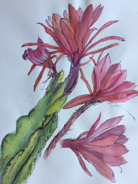 "Cactus VI" Ink and Watercolor 