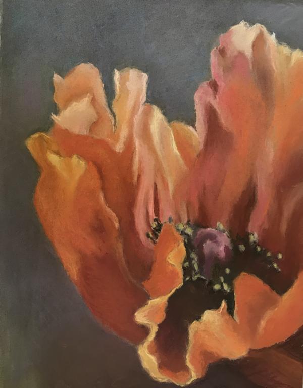 "Poppy Studt #2" Pastel on Colored Paper