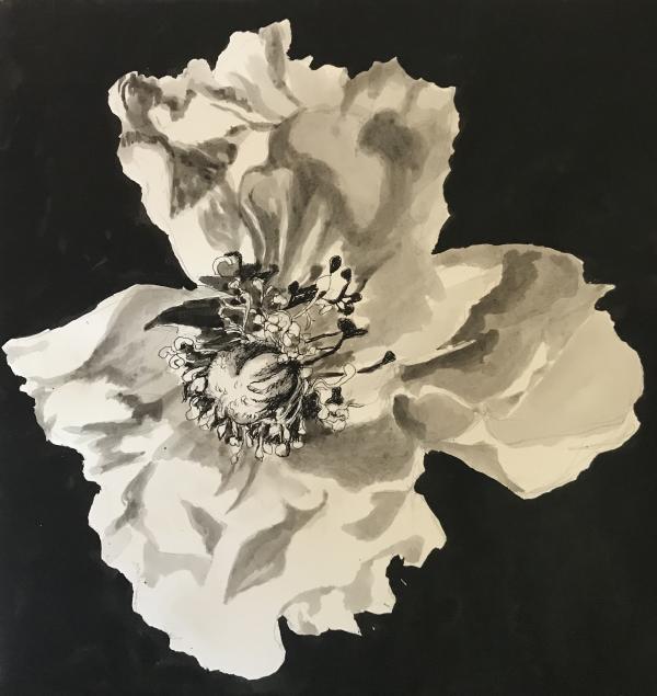 "Shadows and Light" Ink with Micron Pen