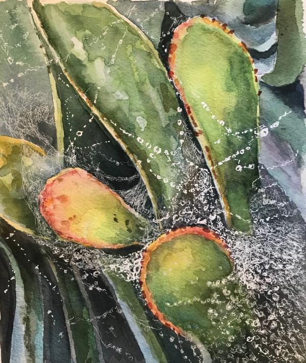 "Succulents #1" Ink and Watercolor