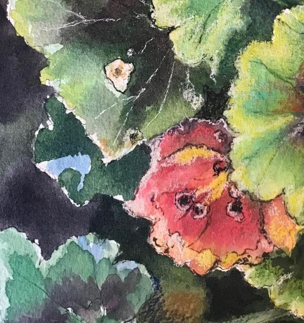 "Succulents Landscape" Acrylic with Pastel" 