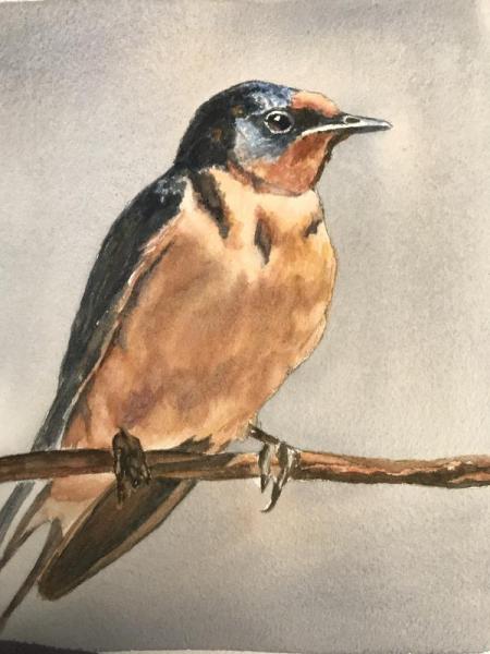 "Wildlife Watercolor Study" Acrylic on Canvas