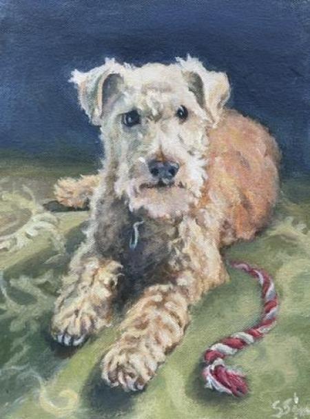 "Cooper" Acrylic on Canvas