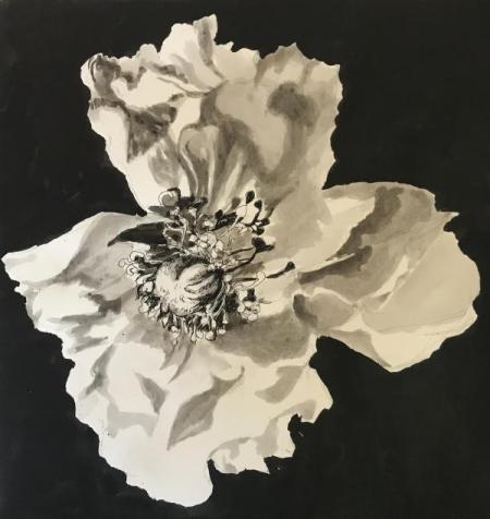 "Shadows and Light" Ink with Micron Pen