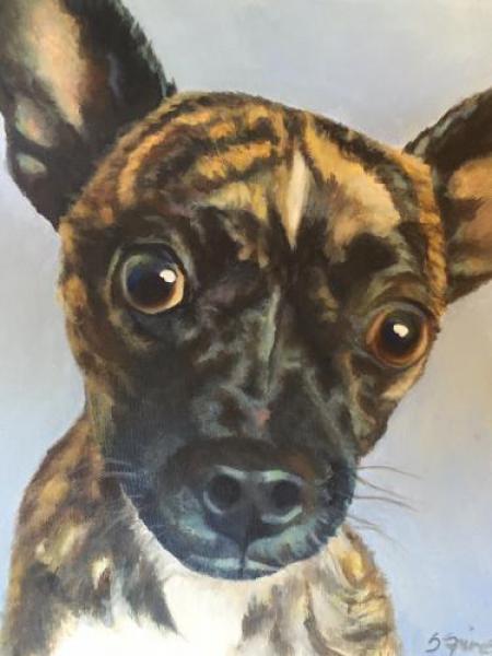 "Max" Acrylic On Canvas