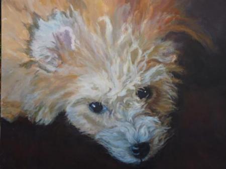 "Oliver I" Acrylic on Canvas