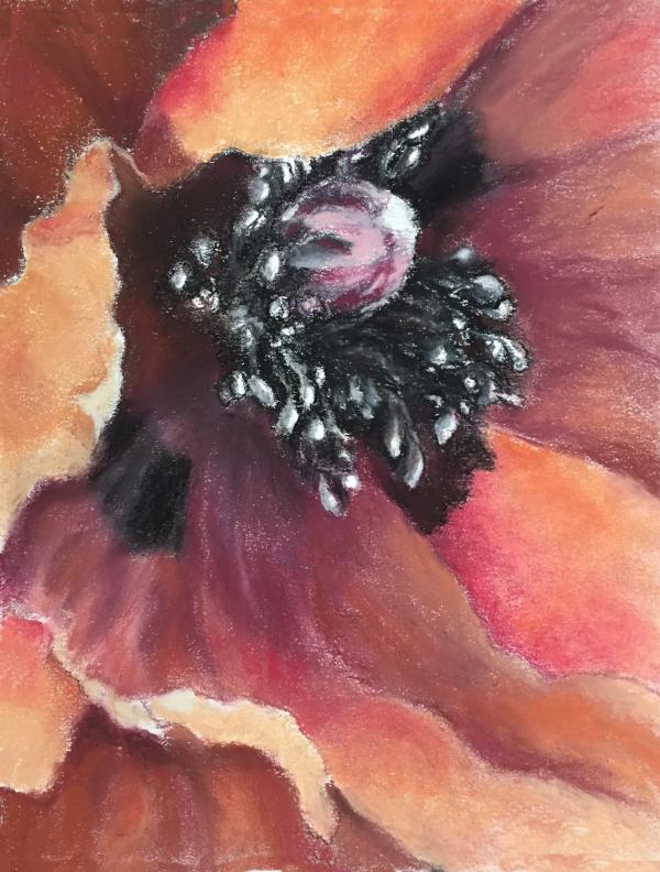 "Grand Opening" Pastel on Paper